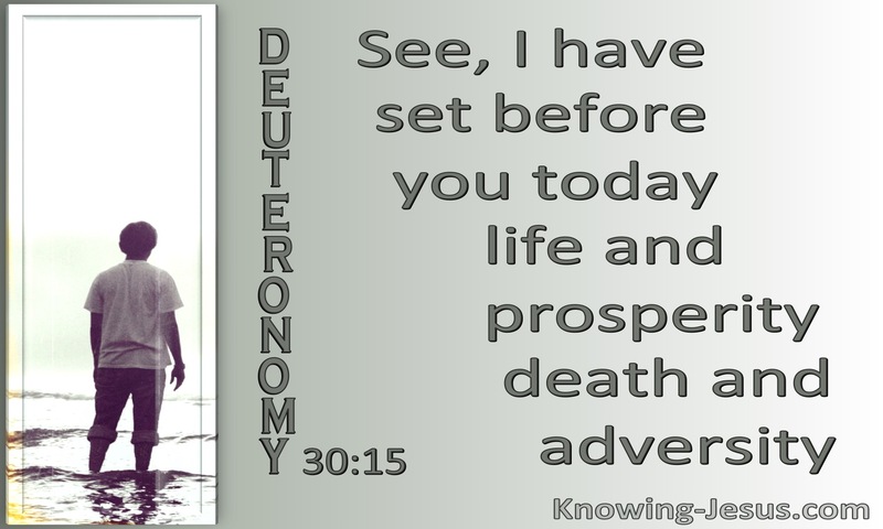 Deuteronomy 30:15 Life And Prosperity Or Death And Adversity (gray)